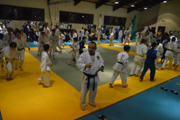 Weekend cu mult JUDO pentru copii, organizat de Clubul Sportiv Pro-Motrica, la Timișoara FOTO