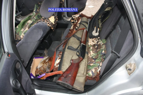 Braconier din Lovrin, prins de polițiști în trafic, cu mașina ”plină”. Ce ARSENAL avea bărbatul acasă FOTO/VIDEO
