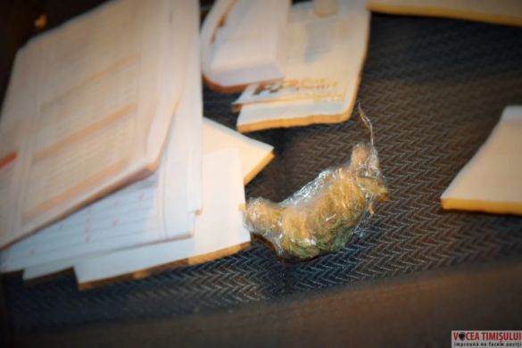 Razia polițiștilor de azi-noapte a dat roade! Doi tineri, prinși cu cannabis în mașini, în trafic