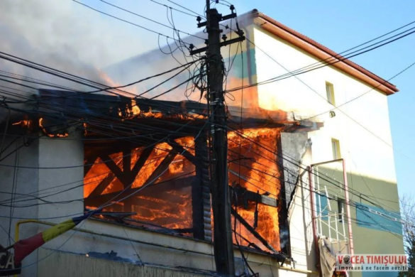 DEZASTRU în Complexul Studențesc din Timișoara. Mai multe localuri au ars în cel mai violent INCENDIU din ultima perioadă! FOTO/VIDEO