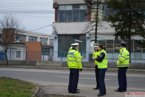 Razie în Timișoara: sute de jandarmi și polițiști pe străzi