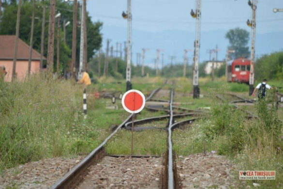 Primarul din Jimbolia, scrisoare către Ponta pentru reluarea traficului feroviar spre Timișoara. Navetiștii sunt DISPERAȚI