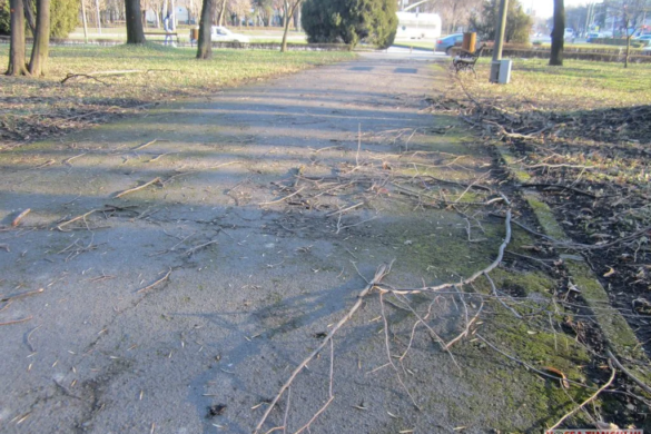 Horticultura SFIDEAZĂ curățenia! Parcul Civic din centrul Timișoarei, plin de crengi rupte, la o săptămână după furtună FOTO