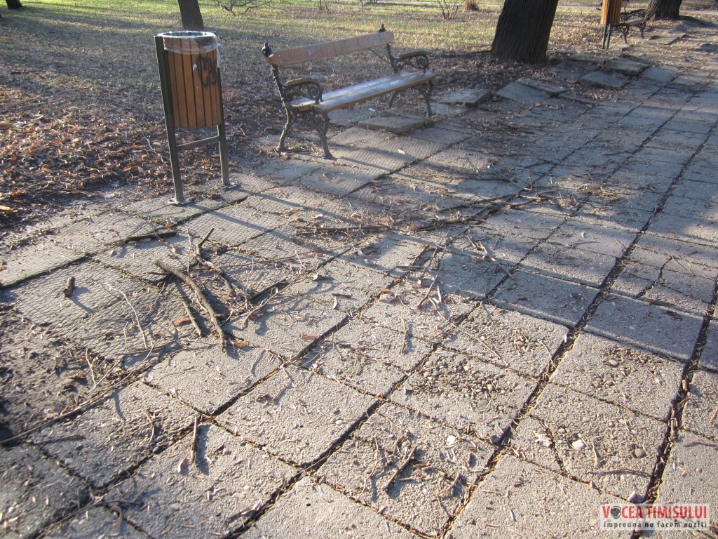 Parcul Civic din centrul Timisoarei plin de crengi rupte 8 Parcul Civic din centrul Timisoarei plin de crengi rupte 8