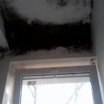 Spitalul ”Victor Babeș” Timișoara03 jpg