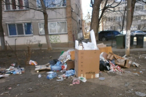 Mormane de gunoaie au împânzit Timișoara! Poliția Locală AMENINȚĂ cetățenii care nu respectă legea FOTO