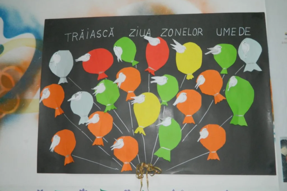 Astăzi este ”Ziua Mondială a Zonelor Umede”. Cum se sărbătorește în Timiș