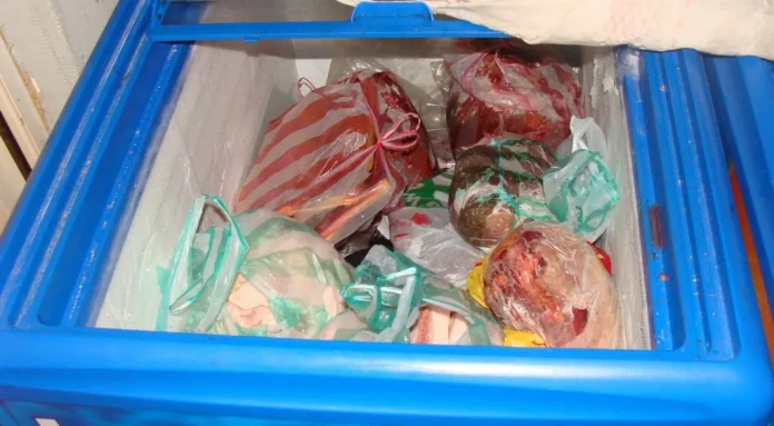 200 de kilograme de carne și preparate din carne, FĂRĂ ACTE, la un magazin și în mașina patronului acestuia, la Lugoj FOTO 200 de kilograme de carne și preparate din carne FĂRĂ ACTE3 jpg