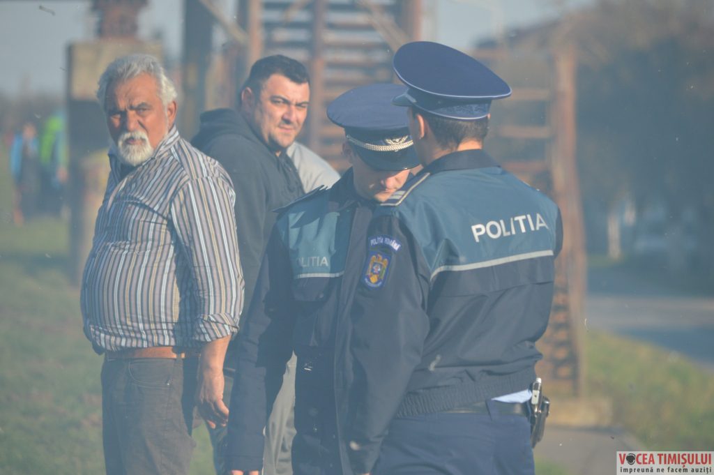 Cartierul Plopi din Timișoara05 Cartierul Plopi din Timișoara05