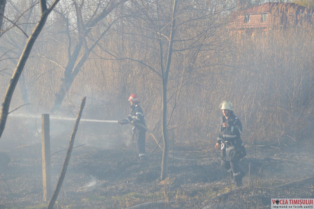 Cartierul Plopi din Timișoara06 Cartierul Plopi din Timișoara06
