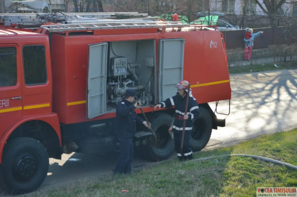 Cartierul Plopi din Timișoara07 jpg Cartierul Plopi din Timișoara07 jpg