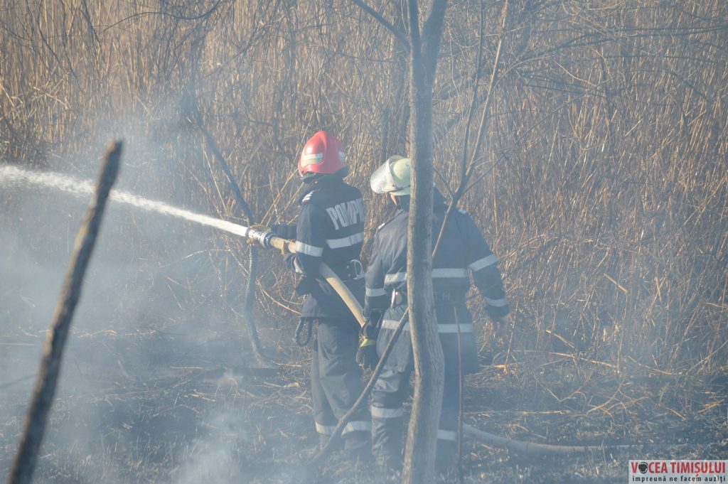 Cartierul Plopi din Timișoara08 Cartierul Plopi din Timișoara08