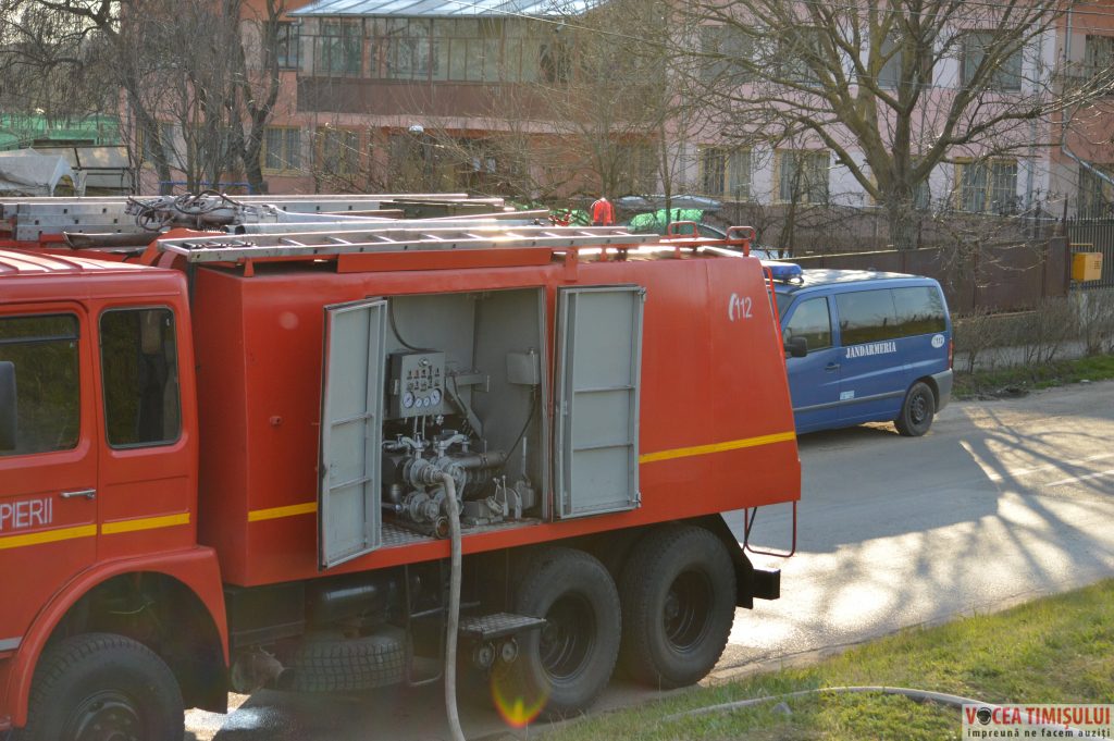 Cartierul Plopi din Timișoara13 Cartierul Plopi din Timișoara13