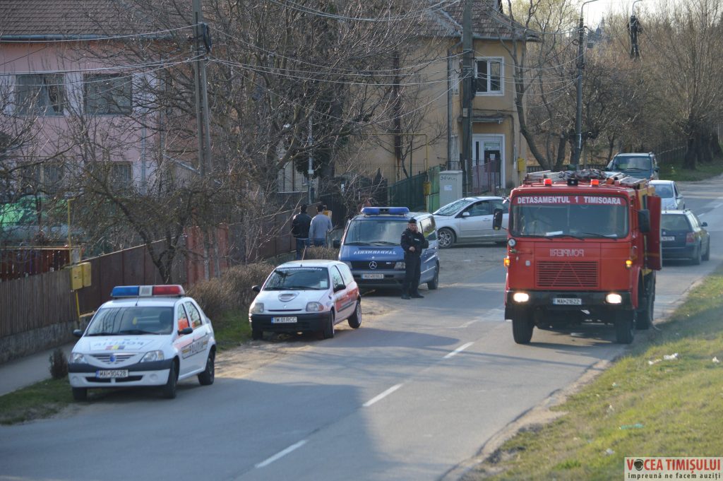Cartierul Plopi din Timișoara15 Cartierul Plopi din Timișoara15