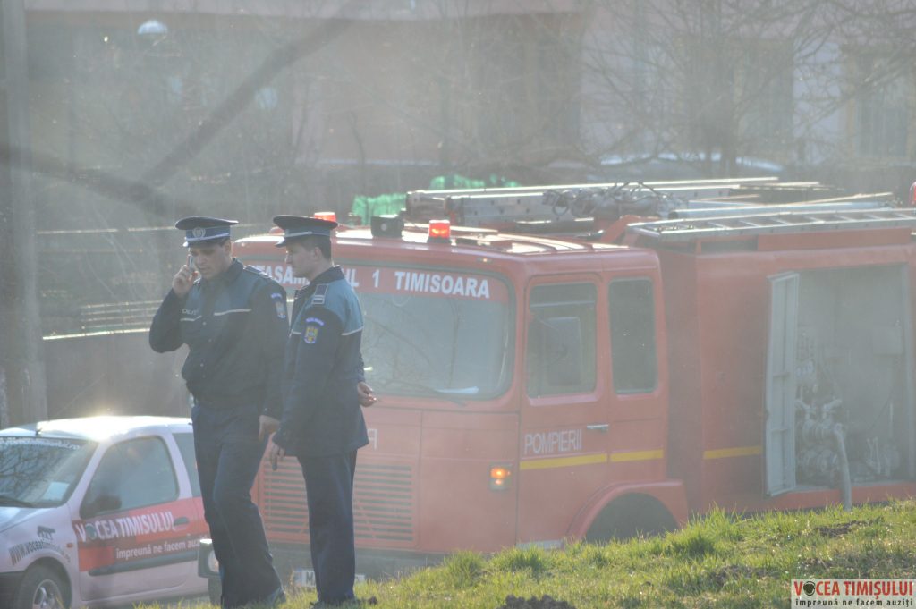 Cartierul Plopi din Timișoara17 Cartierul Plopi din Timișoara17
