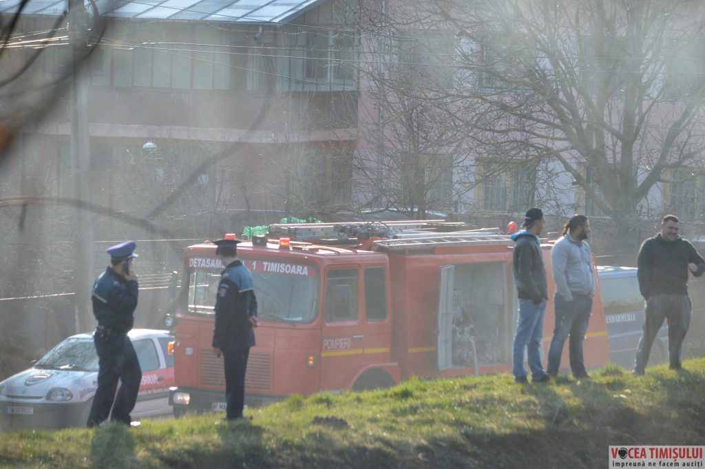 Cartierul Plopi din Timișoara19 Cartierul Plopi din Timișoara19