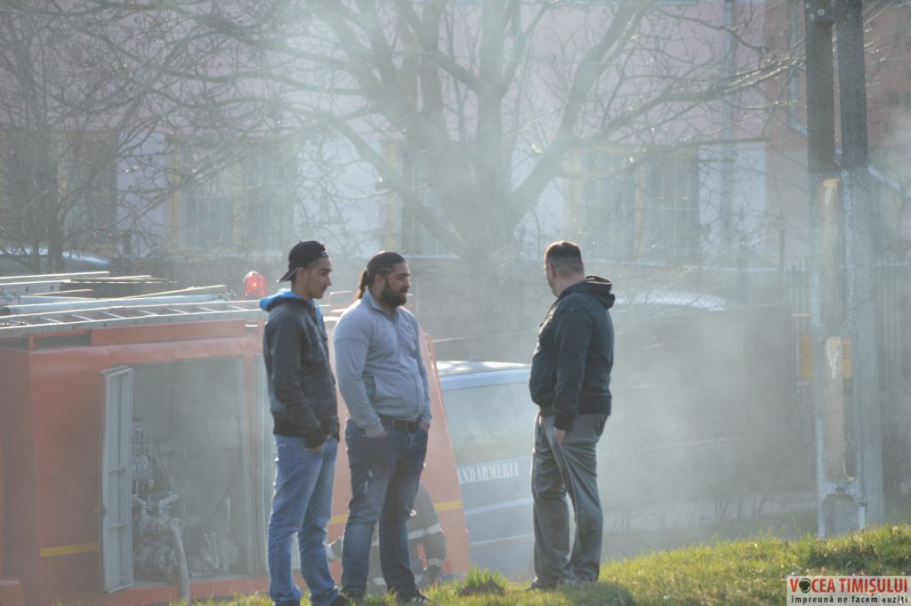 Cartierul Plopi din Timișoara20 Cartierul Plopi din Timișoara20