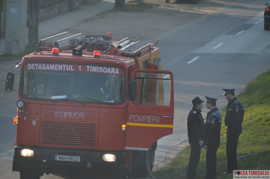 Cartierul Plopi din Timișoara22 Cartierul Plopi din Timișoara22
