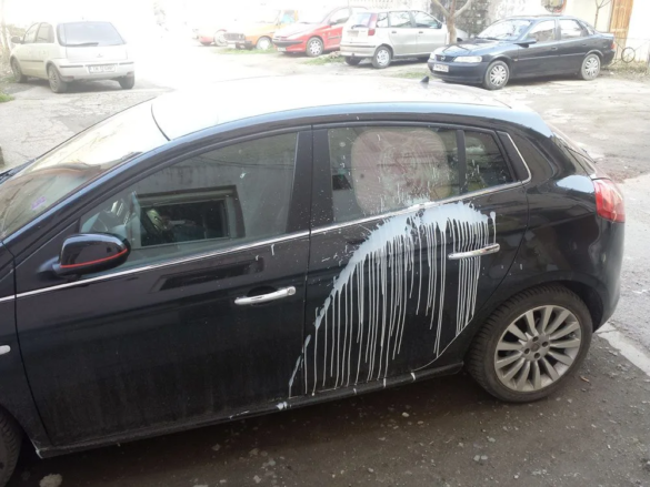 Masina stropita cu vopsea 3 jpg Masina stropita cu vopsea 3 jpg