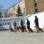 Ziua-Poliției-Române08