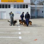 Ziua-Poliției-Române11
