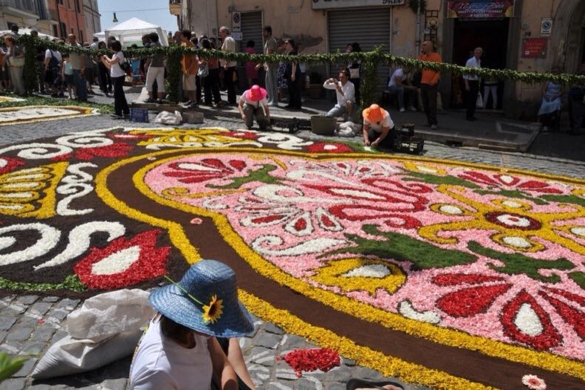 Primul festival al florilor din Timișoara, în imagini! Cum ar putea arăta ”Timfloralis” FOTO
