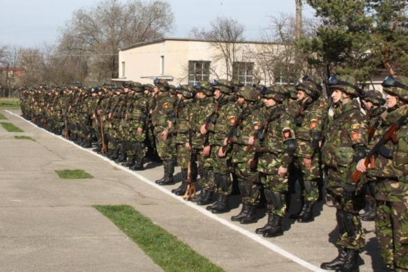 Scorpionii Galbeni din Timișoara merg la “Saber Junction 15”. Vezi în ce țară are loc exercițiul multinațional