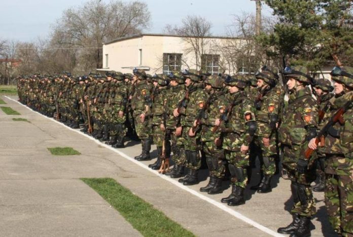 Scorpionii Galbeni din Timișoara merg la “Saber Junction 15”. Vezi în ce țară are loc exercițiul multinațional