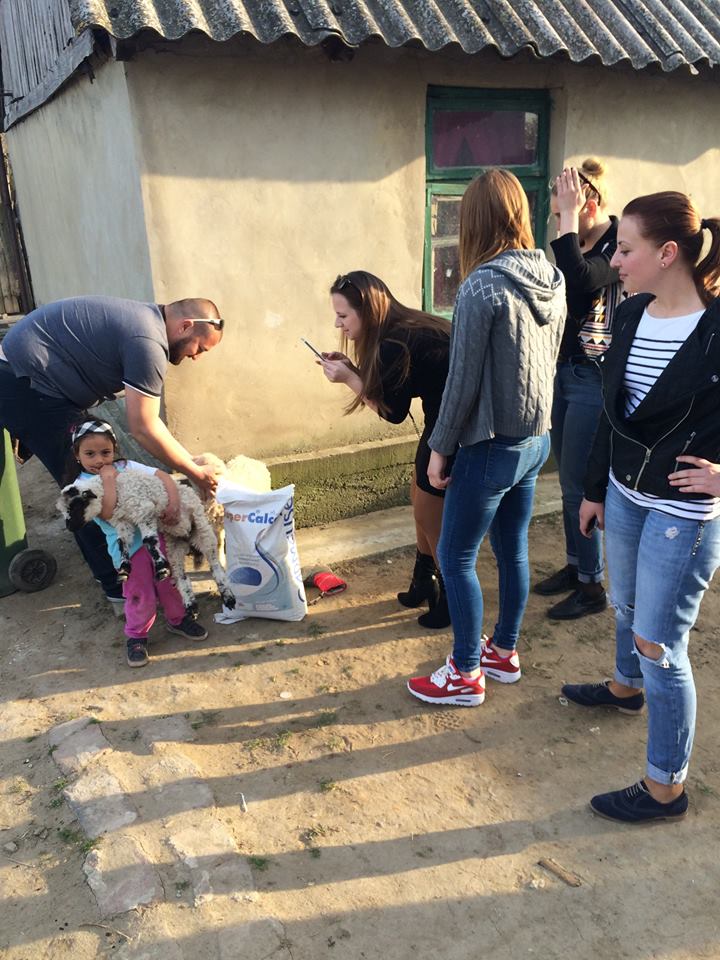Tratament medical făcut cadou unui tânăr din Deta 8 Tratament medical făcut cadou unui tânăr din Deta 8