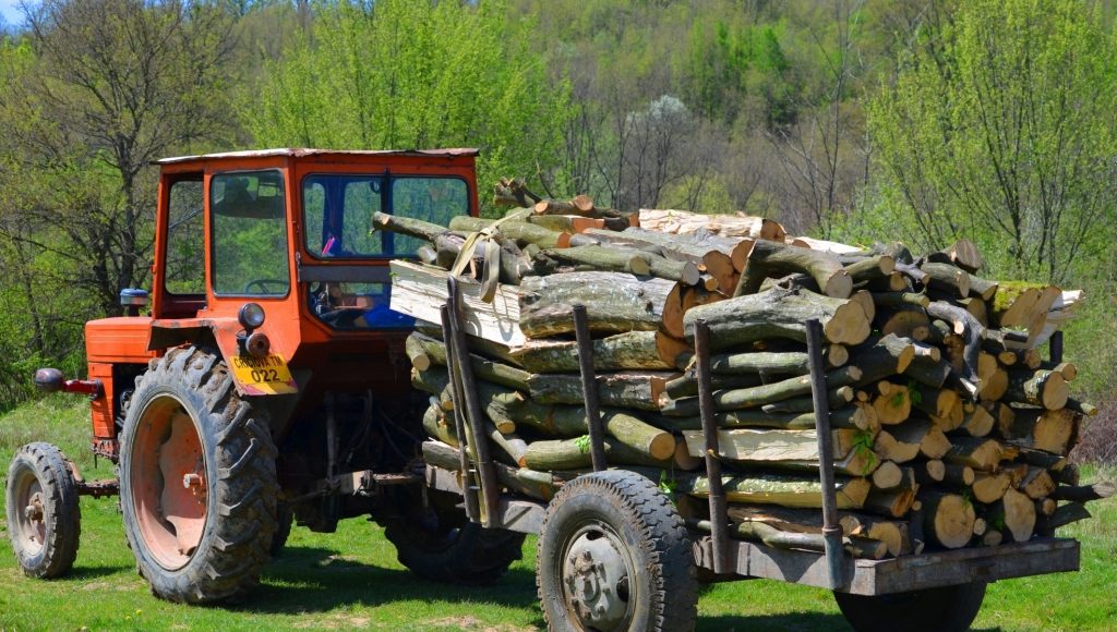 Tăietor-ILEGAL-de-arbori-prins-în-FLAGRANT-tractor-cu-lemne