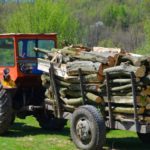 Tăietor-ILEGAL-de-arbori-prins-în-FLAGRANT-tractor-cu-lemne