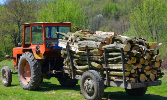 Tăietor ILEGAL de arbori prins în FLAGRANT tractor cu lemne jpg
