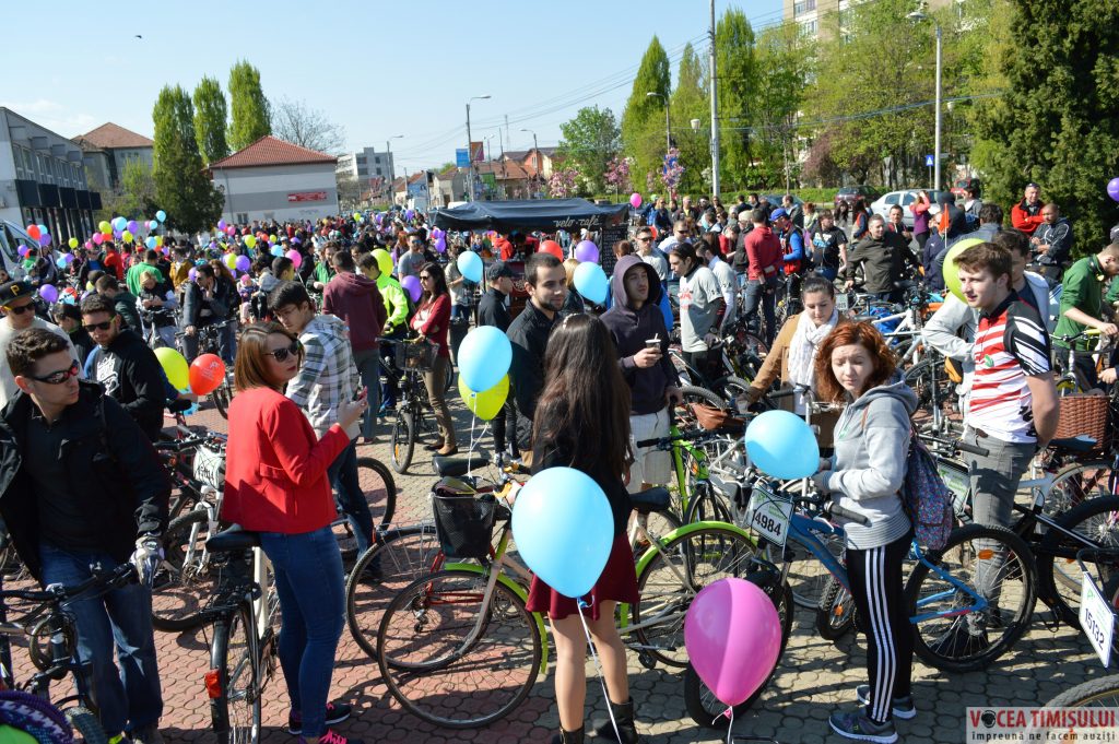 Verde pentru Biciclete03 Verde pentru Biciclete03