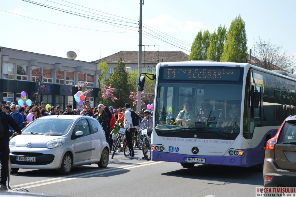 Verde pentru Biciclete10 Verde pentru Biciclete10