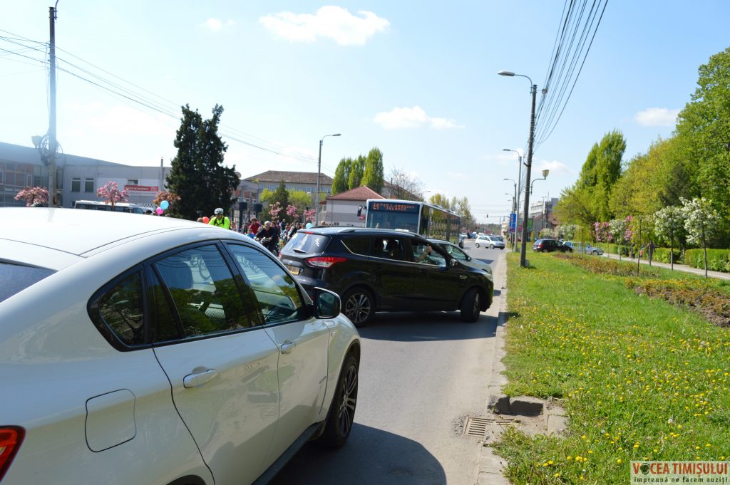 Verde pentru Biciclete15 Verde pentru Biciclete15
