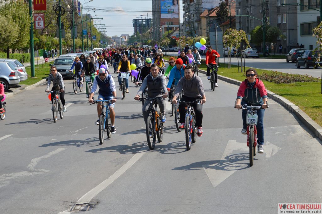Verde pentru Biciclete16 Verde pentru Biciclete16