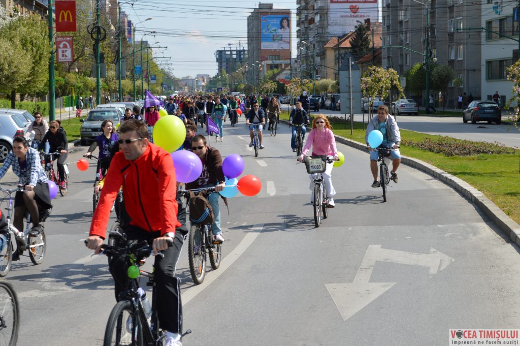 Verde pentru Biciclete17 Verde pentru Biciclete17