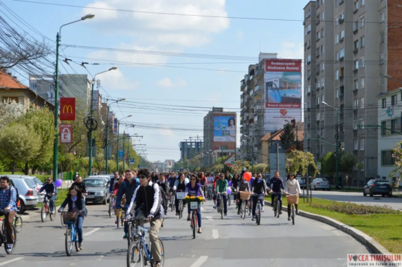 Verde pentru Biciclete18 jpg Verde pentru Biciclete18 jpg