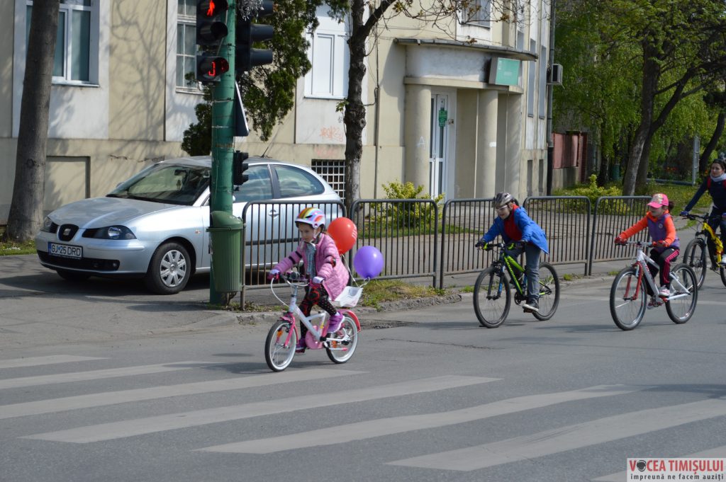 Verde pentru Biciclete20 Verde pentru Biciclete20