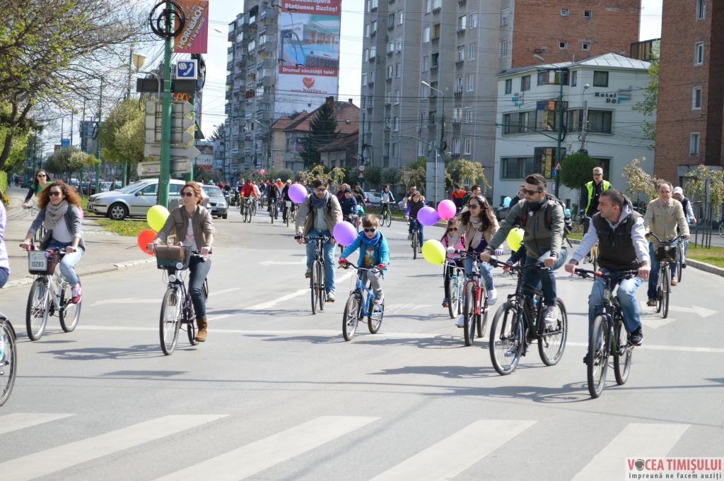 Verde pentru Biciclete24 Verde pentru Biciclete24
