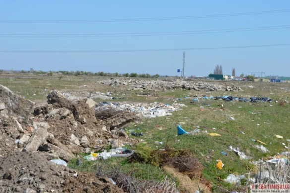 NEM Construct depozitează deșeuri pe domeniul public, ”PATROANA” nu știe ce e ăla! Ce face Poliția Locală Dumbăvița FOTO