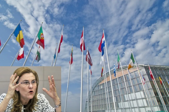 Maria Grapini se ia la „trântă” cu Banca Europeană pentru Investiții. Ce cere pentru IMM-uri