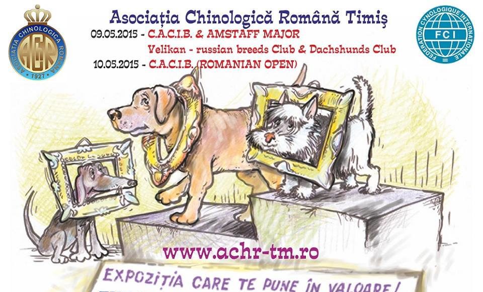 Cacib-expozitie-canina