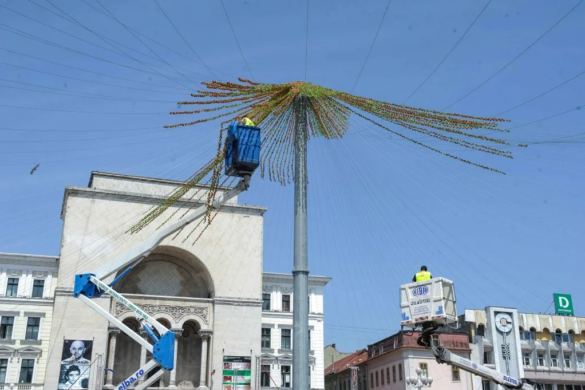 Festivalul Timfloralis, ocazie pentru lansarea Asociației Floriștilor Români. În ce stadiu sunt pregătirile FOTO