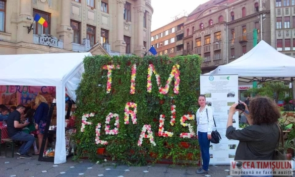 Festivalul florilor ”Timfloralis” a ajuns la ultima zi4 Festivalul florilor ”Timfloralis” a ajuns la ultima zi4