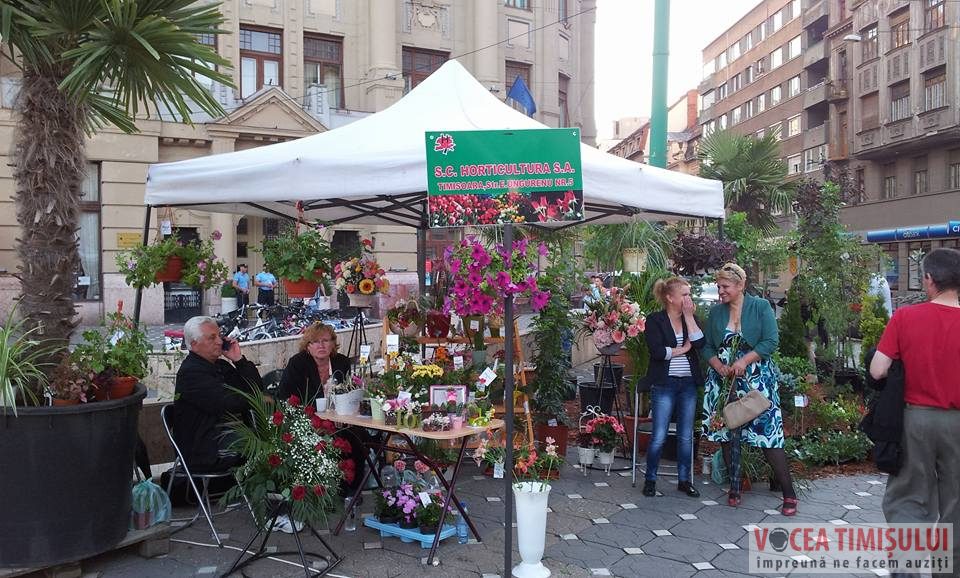 Festivalul florilor ”Timfloralis” a ajuns la ultima zi5 Festivalul florilor ”Timfloralis” a ajuns la ultima zi5