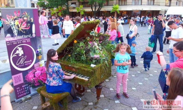 Festivalul florilor ”Timfloralis” a ajuns la ultima zi6 Festivalul florilor ”Timfloralis” a ajuns la ultima zi6