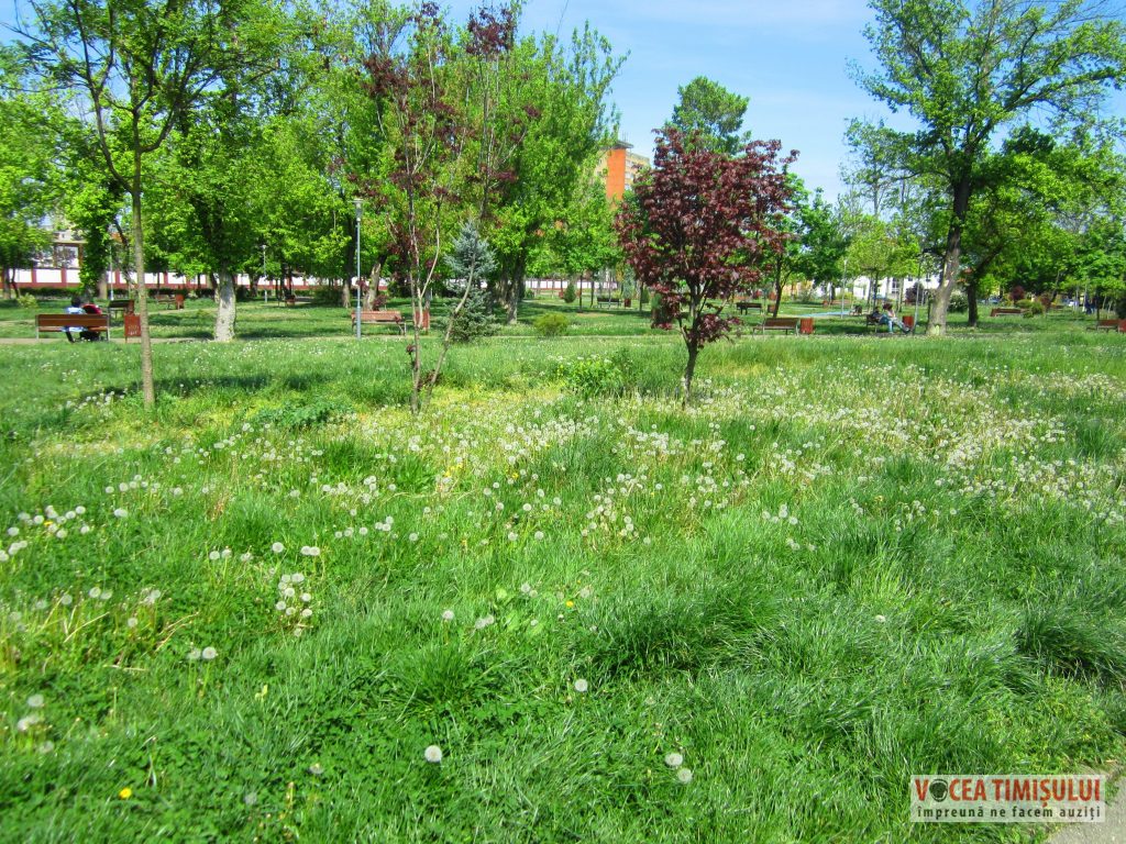 IMG 2857 IMG 2857