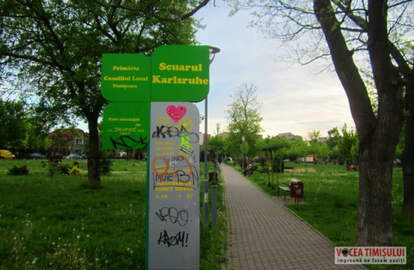 IMG 2924 jpg IMG 2924 jpg