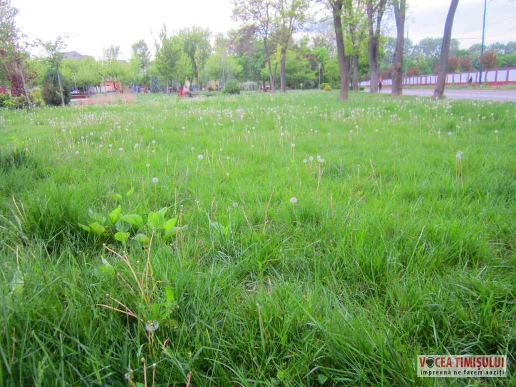 IMG 2925 IMG 2925